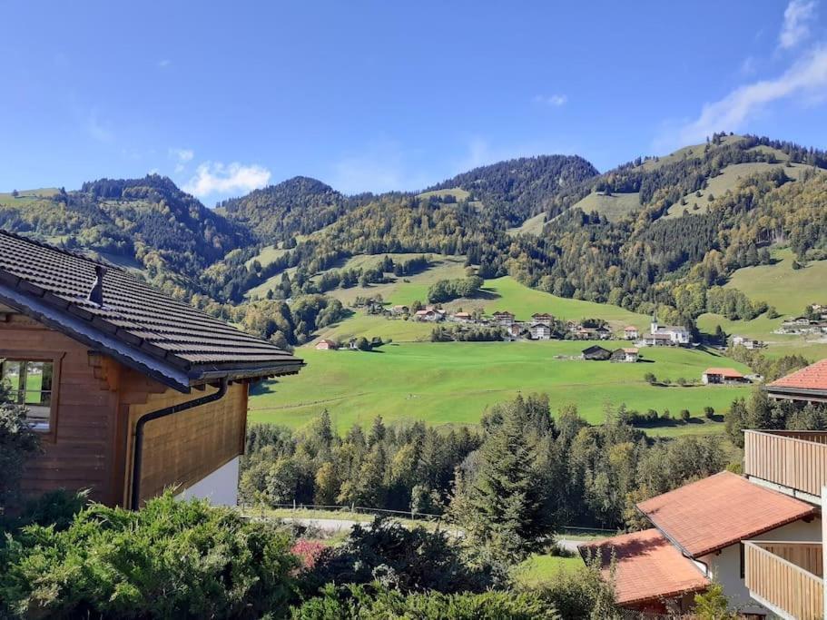 Confortable Chalet Avec Magnifique Vue En Gruyere. 샤메이 외부 사진