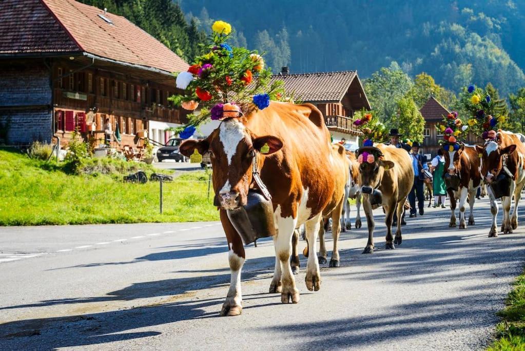 Confortable Chalet Avec Magnifique Vue En Gruyere. 샤메이 외부 사진