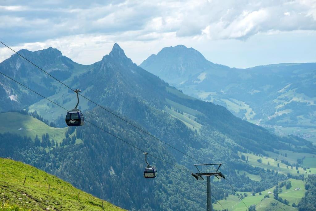 Confortable Chalet Avec Magnifique Vue En Gruyere. 샤메이 외부 사진